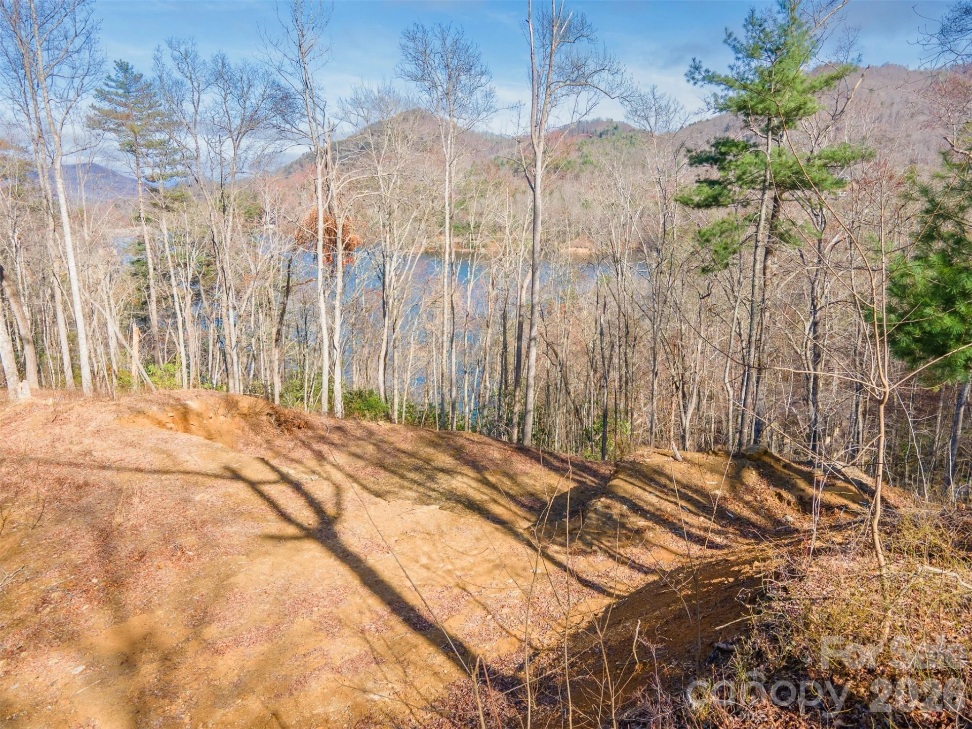 Lot 156 Mandolin Court #156 - Photo 4