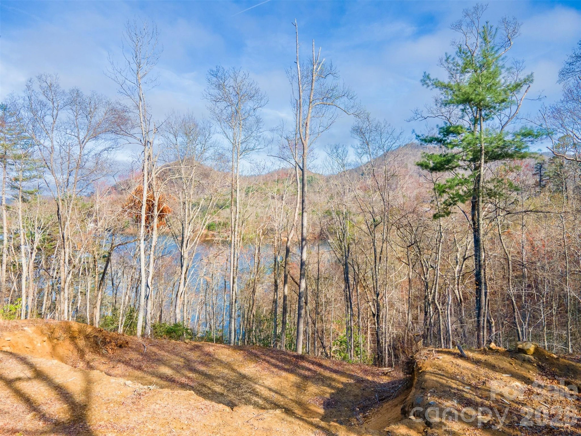 Lot 156 Mandolin Court #156 - Photo 6