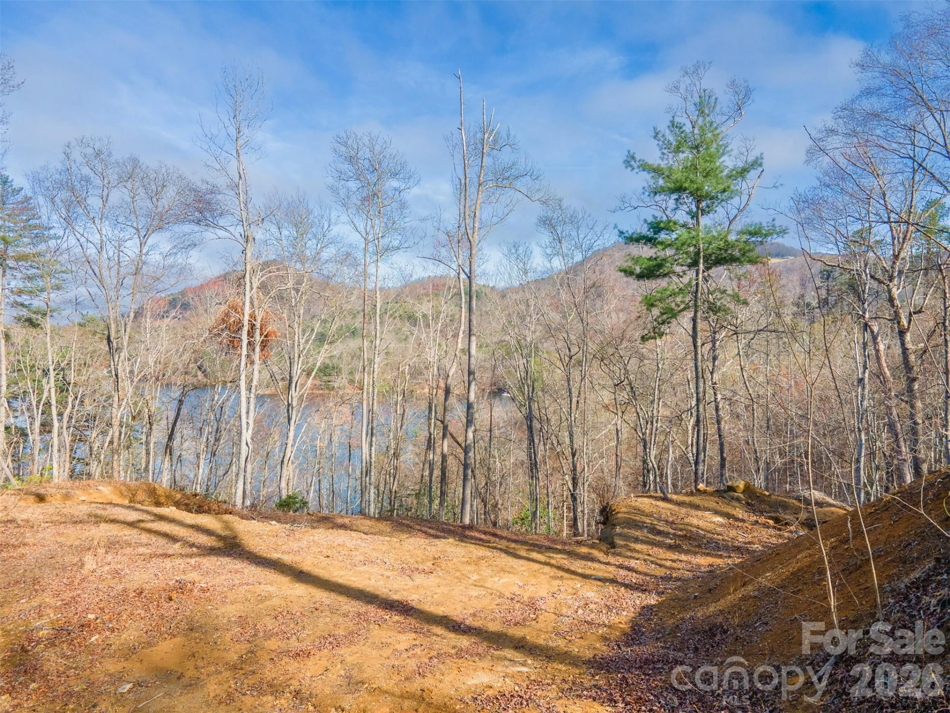 Lot 156 Mandolin Court #156 - Photo 7