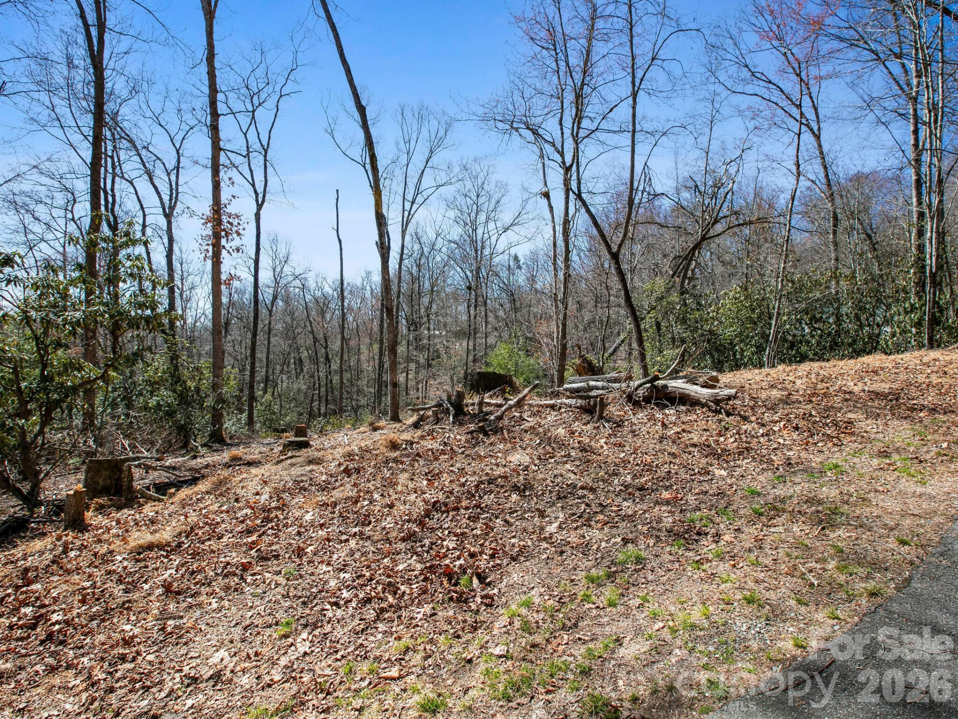 0 Alpen Rose Way #2 - Photo 11