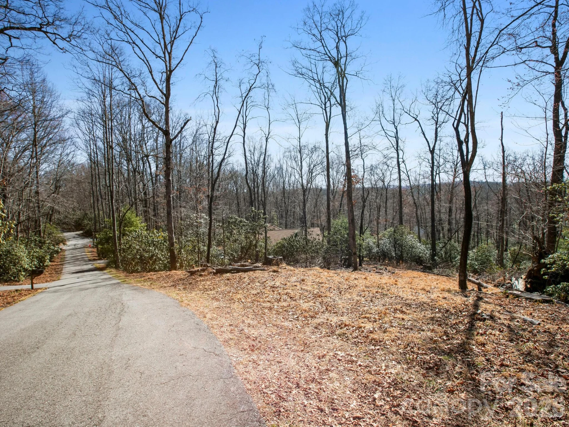 0 Alpen Rose Way #2 - Photo 12