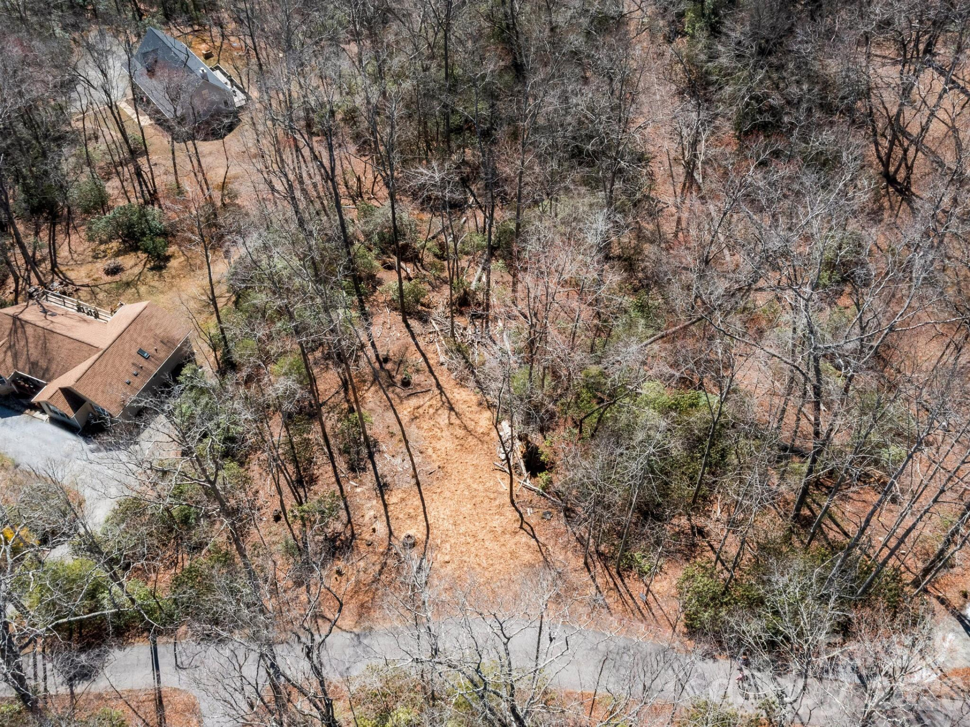 0 Alpen Rose Way #2 - Photo 17