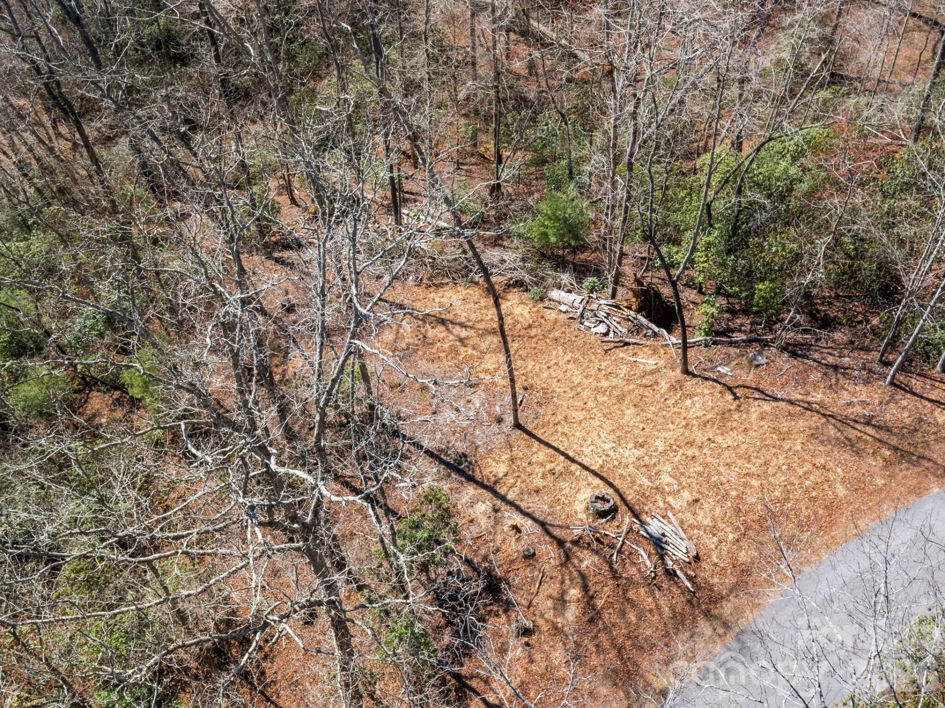 0 Alpen Rose Way #2 - Photo 21