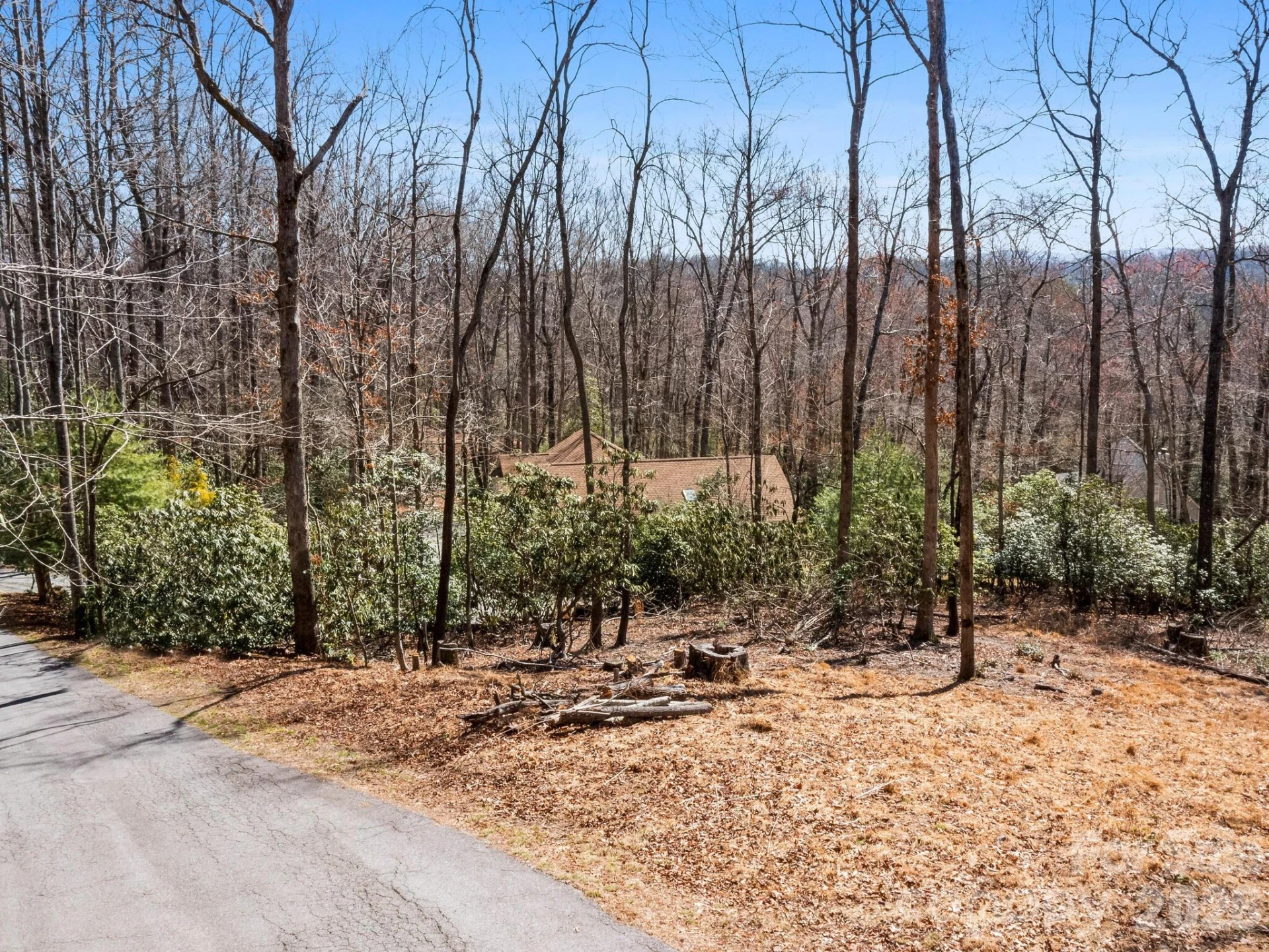 0 Alpen Rose Way #2 - Photo 22