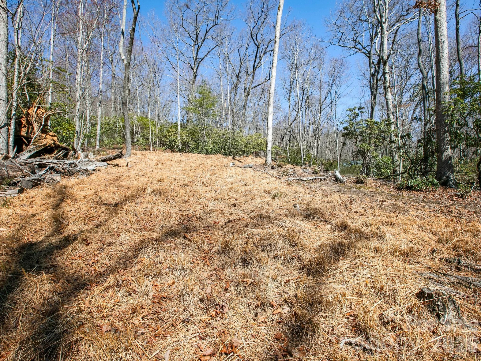 0 Alpen Rose Way #2 - Photo 8