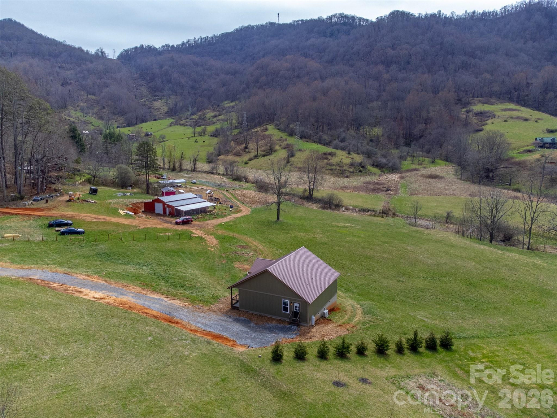 3240 Old Henson Cove Road - Photo 2