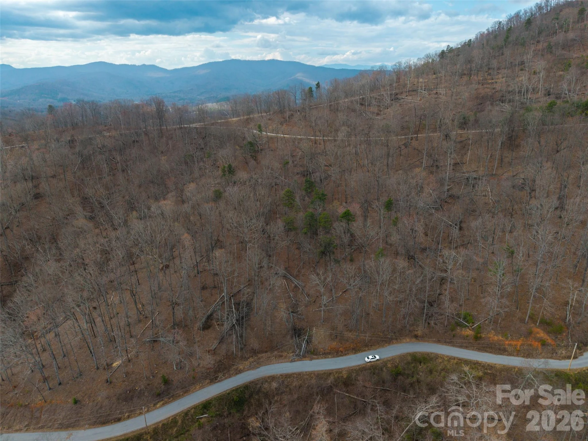 0 Queens Gap None - Photo 6