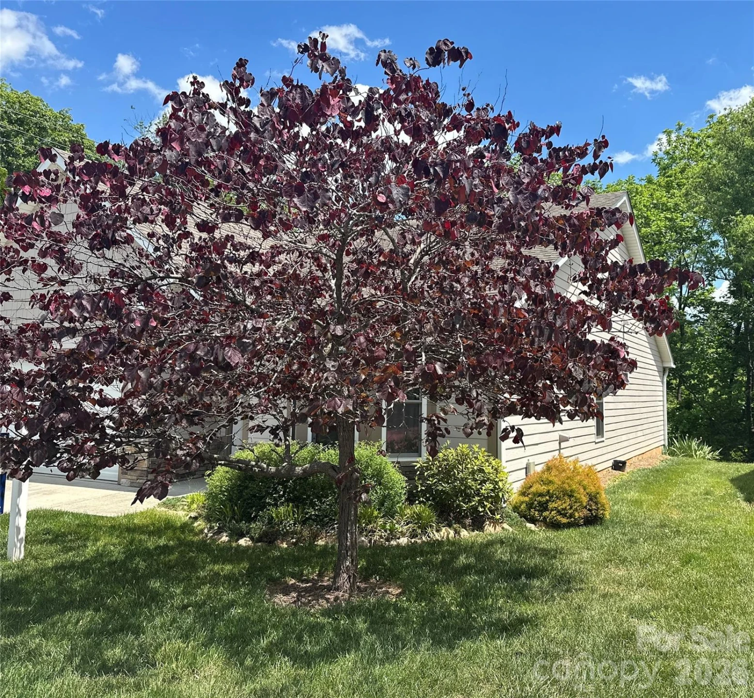 29 Kaylor Drive - Photo 9