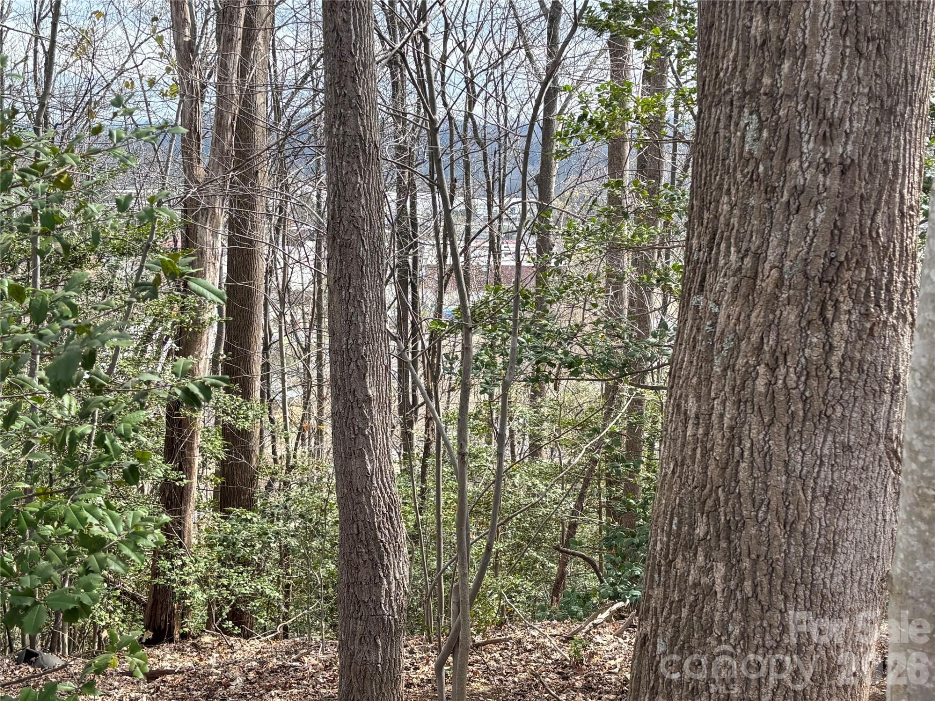 283 Shooting Star Drive - Photo 3