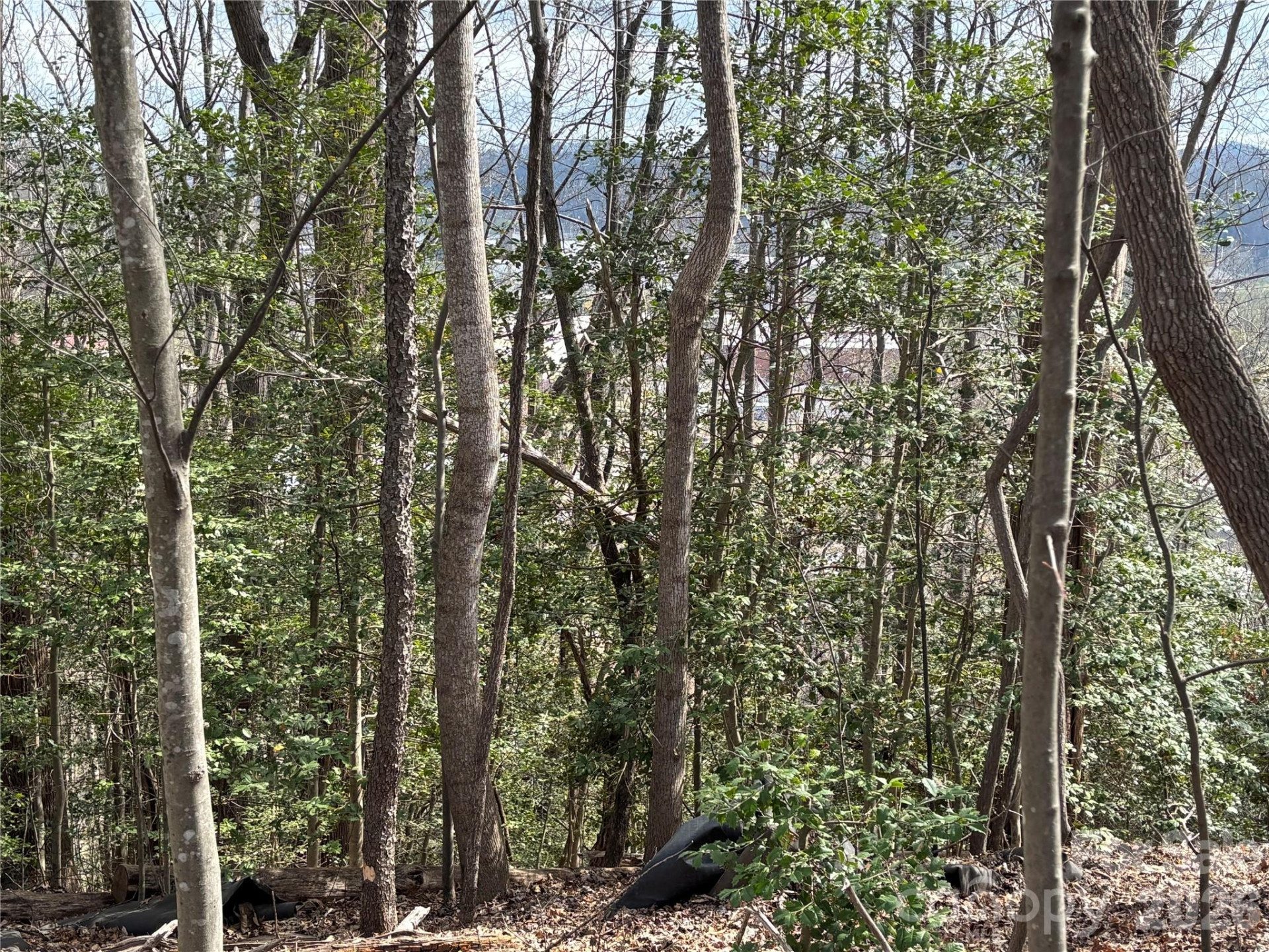 283 Shooting Star Drive - Photo 5