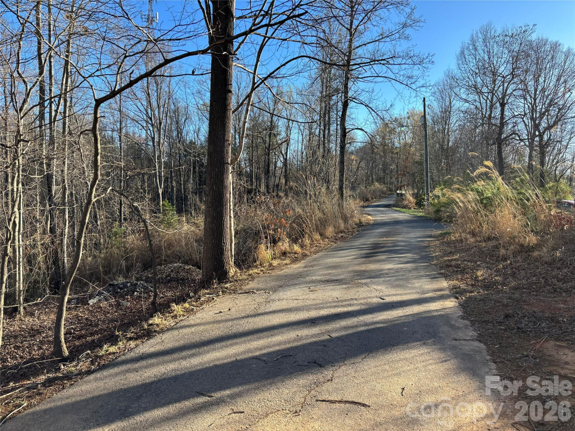 283 Shooting Star Drive - Photo 8