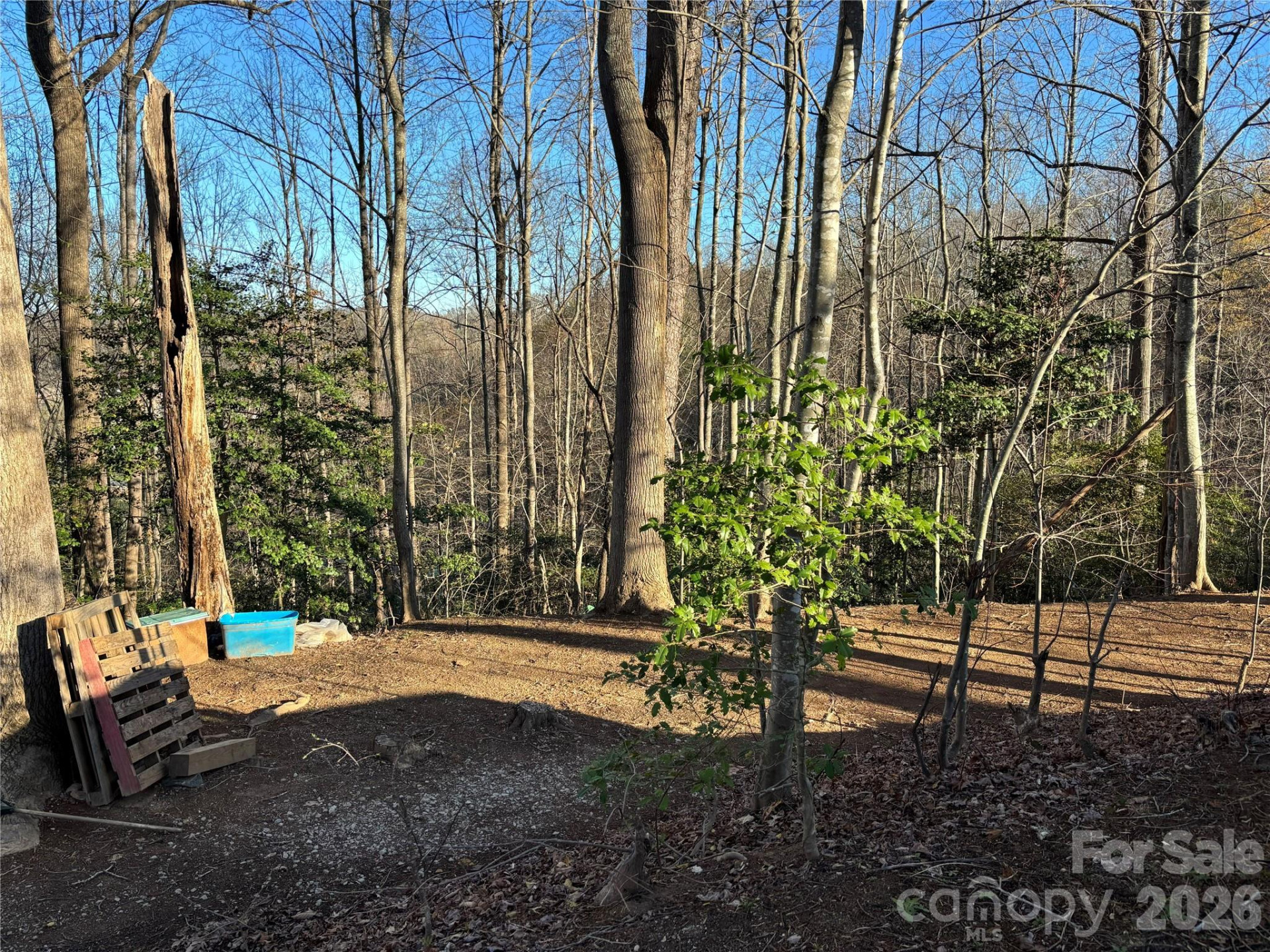 283 Shooting Star Drive - Photo 9