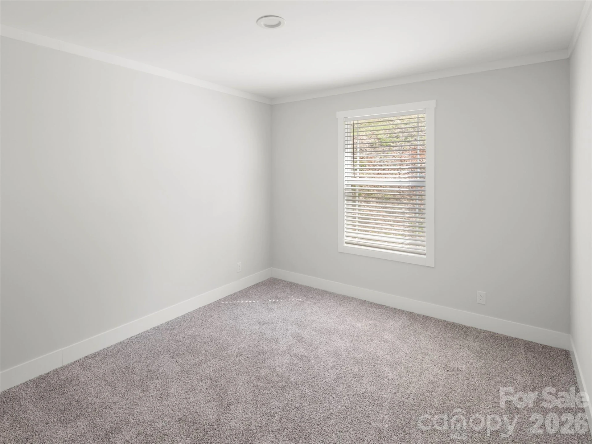 502 & 512 Hutch Mountain Road - Photo 17