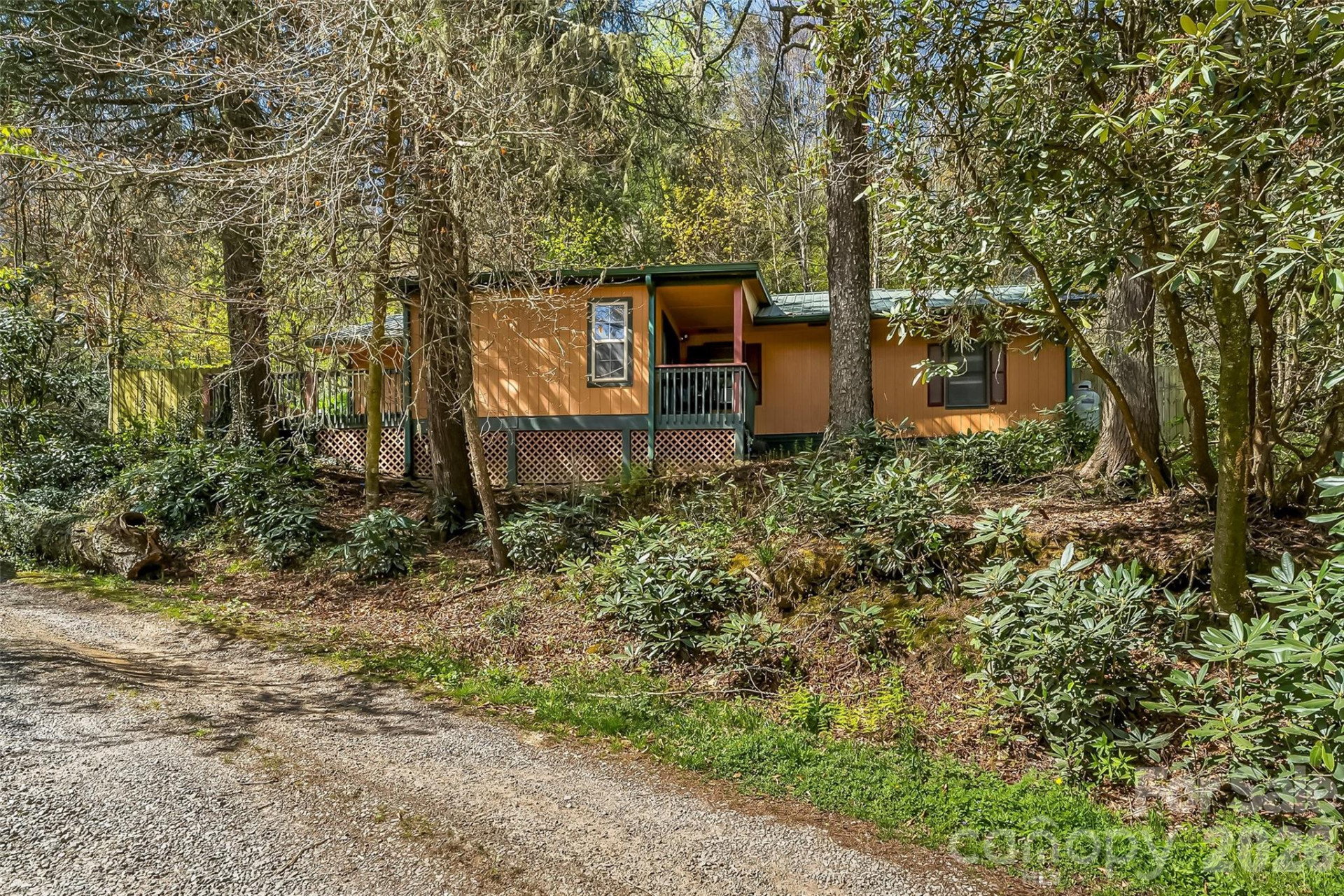 242 Plott Balsam Road - Photo 3
