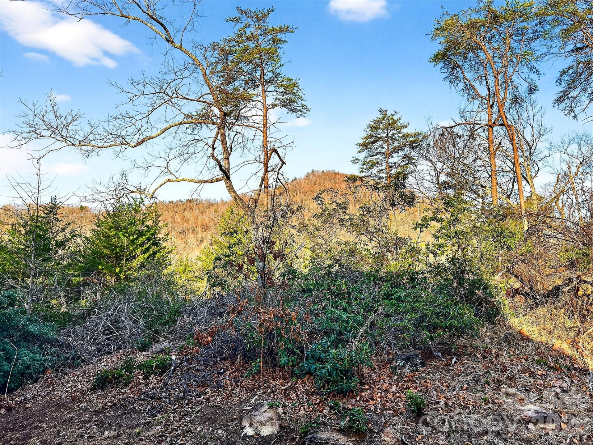 345 Lower Switchback Road - Photo 30