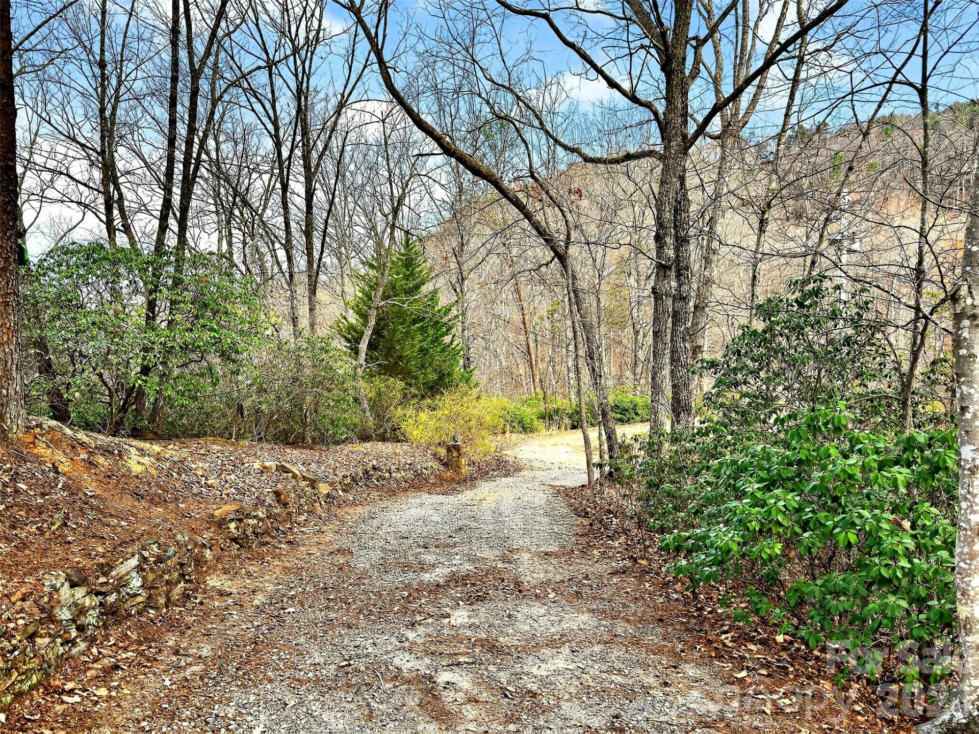 345 Lower Switchback Road - Photo 32