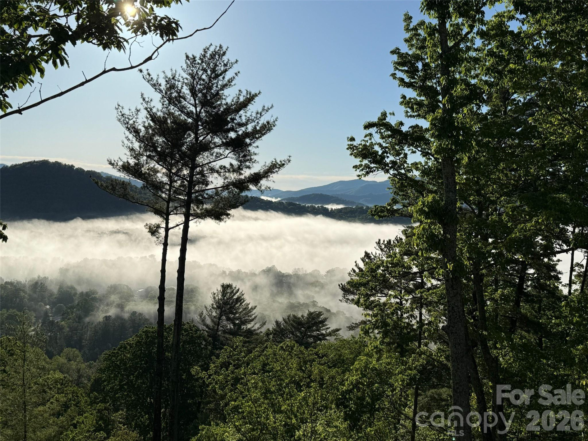 120 Boulder Creek Way - Photo 43