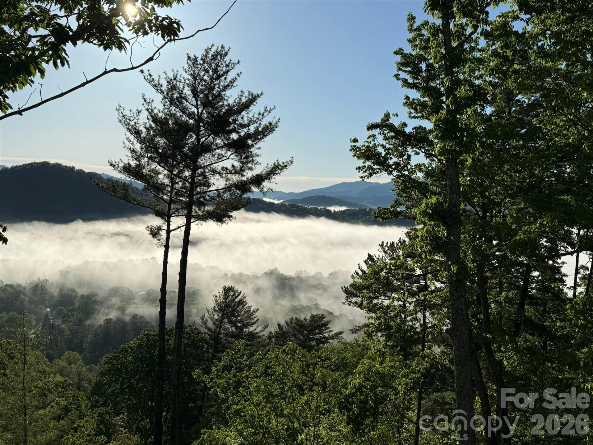 120 Boulder Creek Way - Photo 41