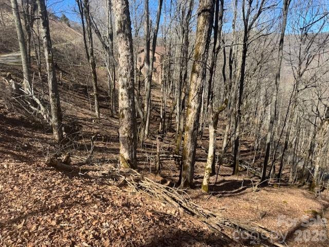 11 Zebulon Lane - Photo 2