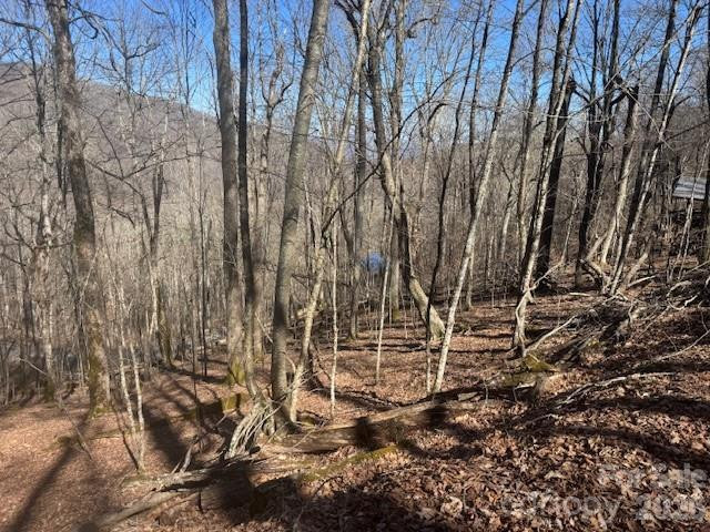 11 Zebulon Lane - Photo 3