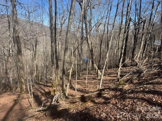 11 Zebulon Lane - Photo 3