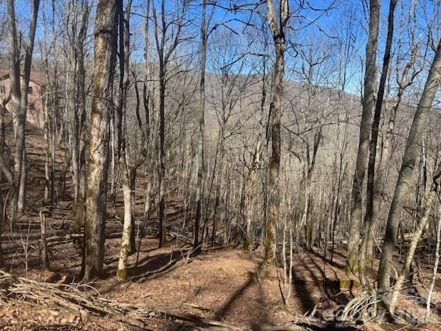 11 Zebulon Lane - Photo 4