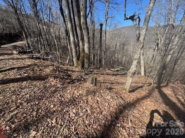 11 Zebulon Lane - Photo 5