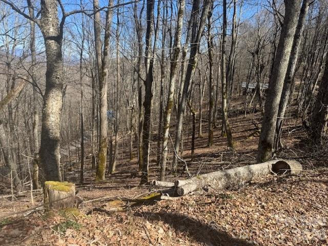 11 Zebulon Lane - Photo 6