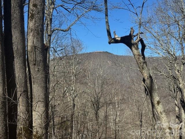 11 Zebulon Lane - Photo 7