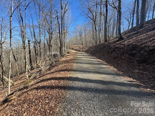 11 Zebulon Lane - Photo 8