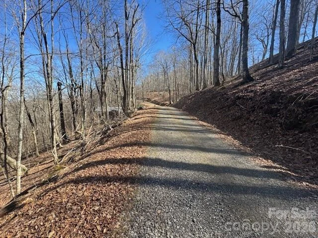 11 Zebulon Lane - Photo 8
