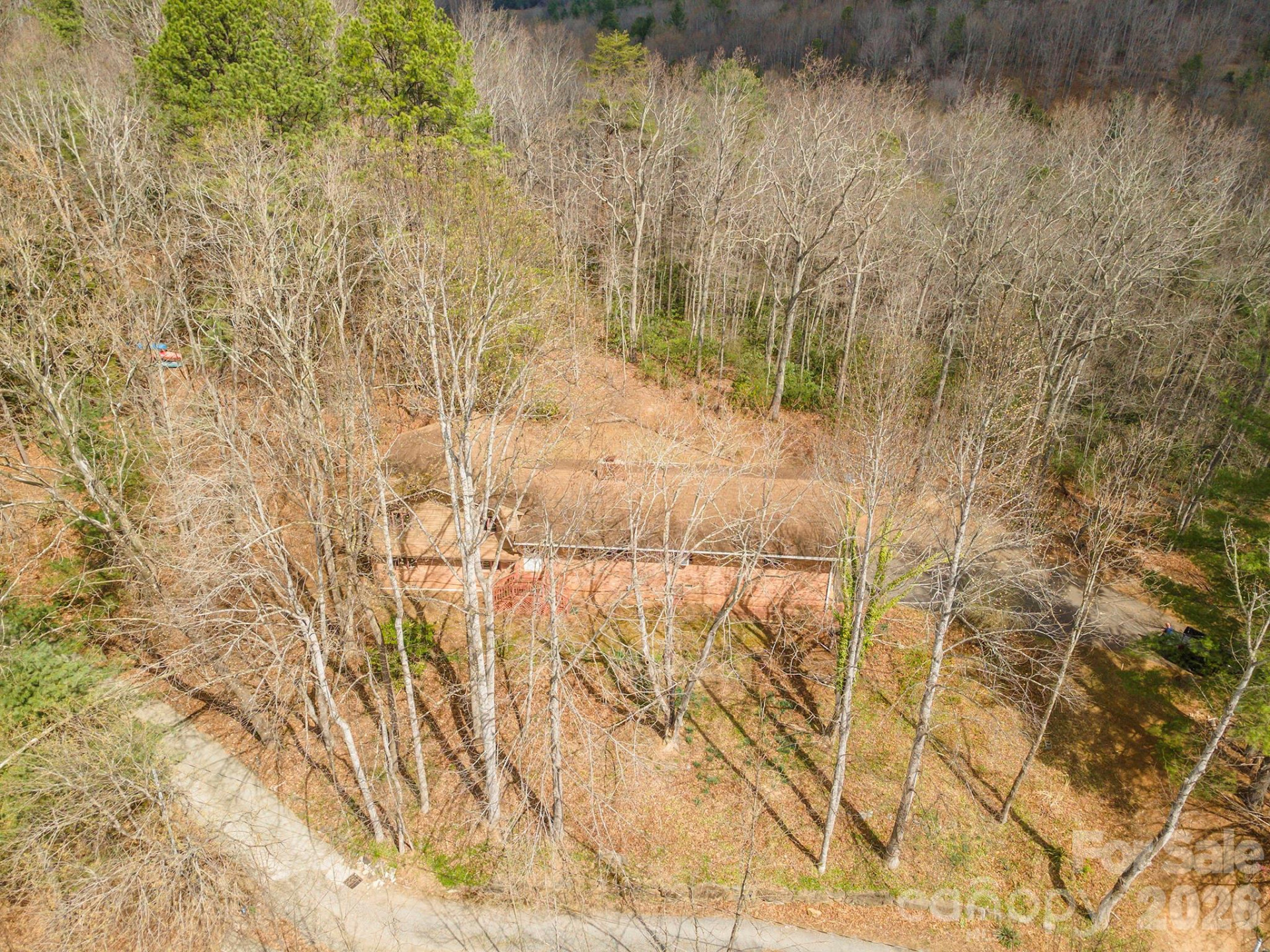 118 Richard Lane - Photo 3