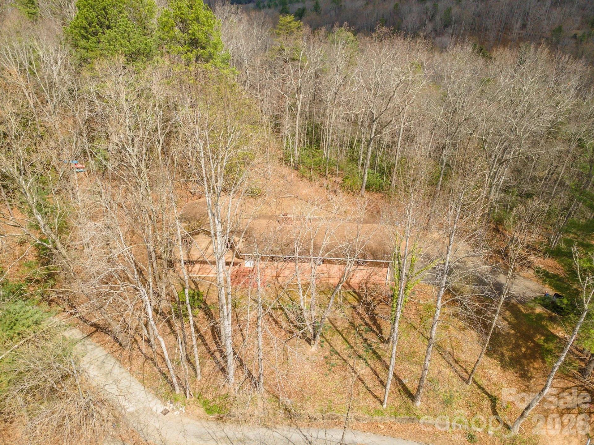 118 Richard Lane - Photo 3