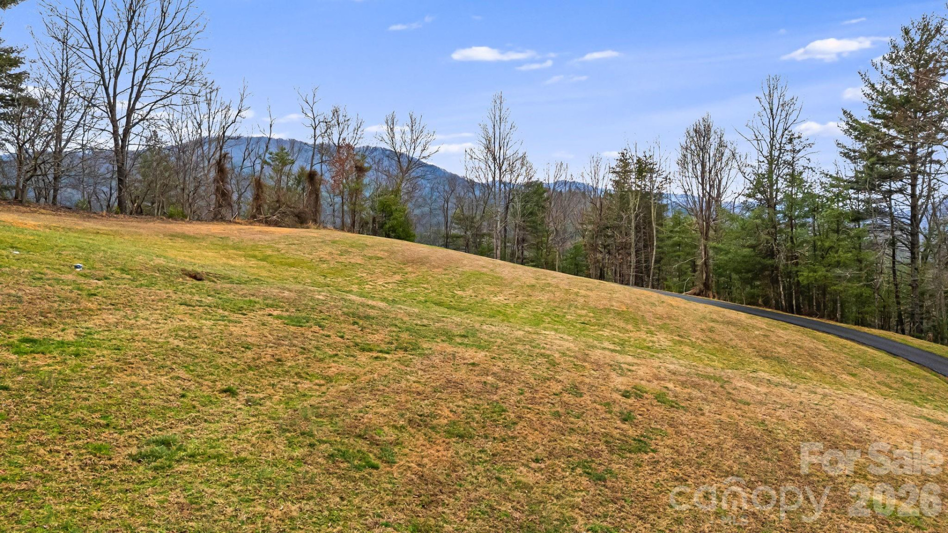 5830 NC 209 Highway - Photo 2