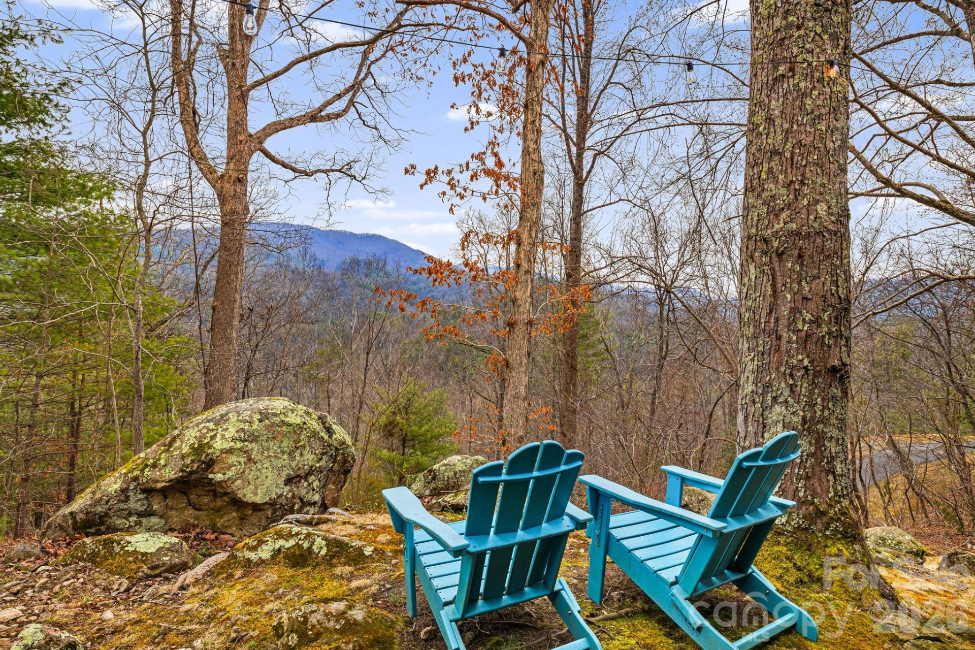 5830 NC 209 Highway - Photo 35