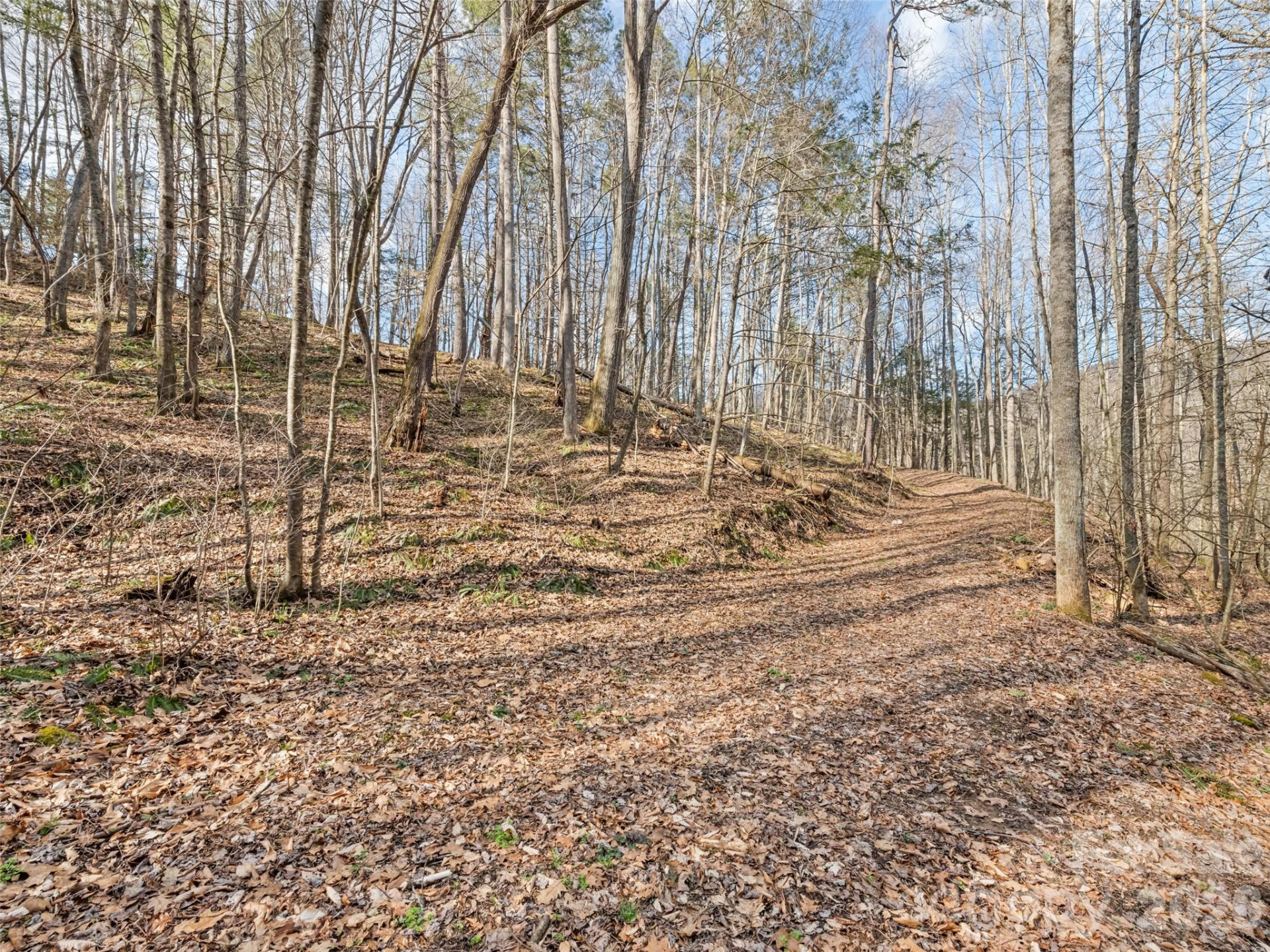 0 Harleys Cove #Lot 20 - Photo 12