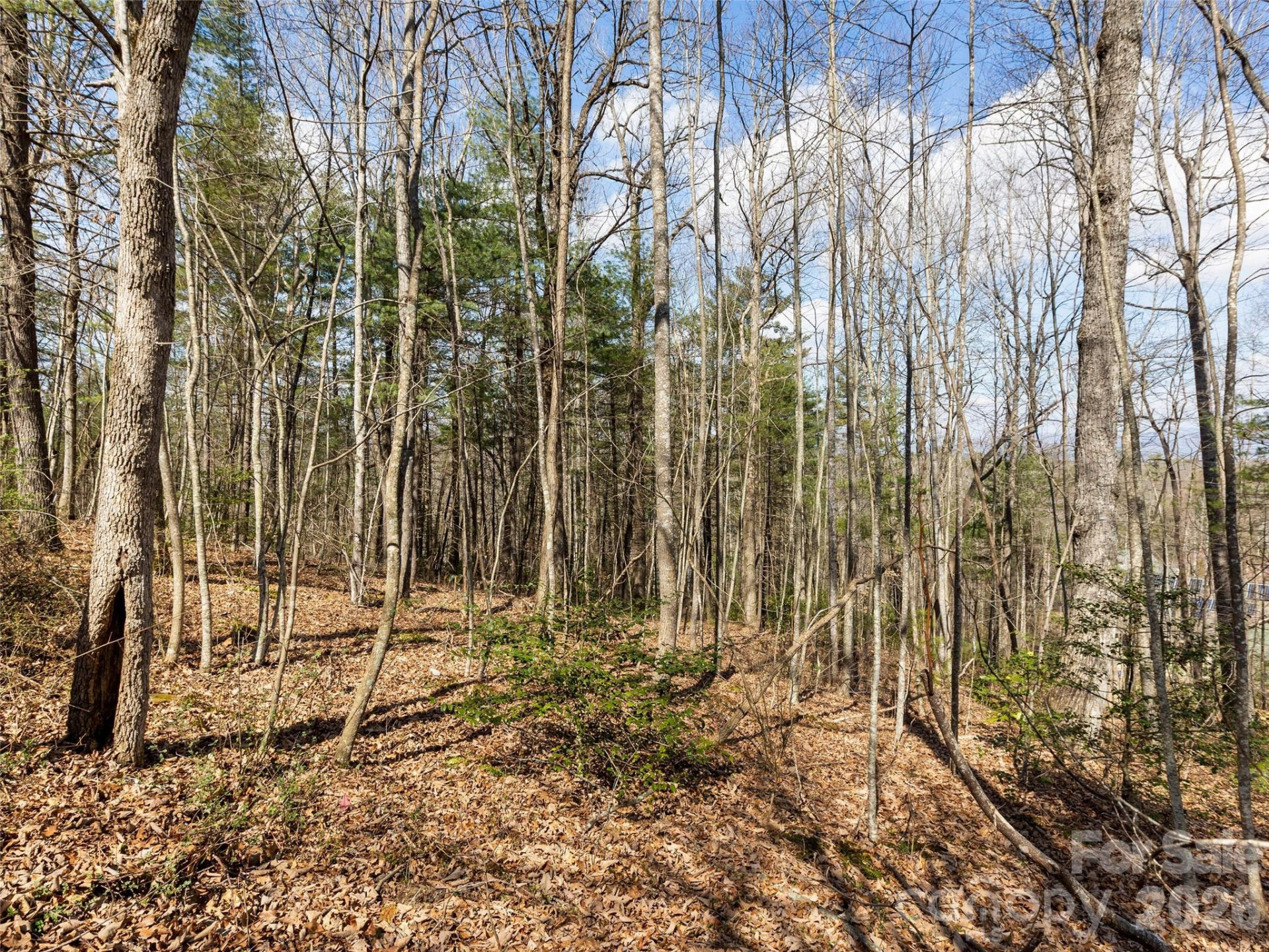 96 Turkey Roost Court - Photo 11