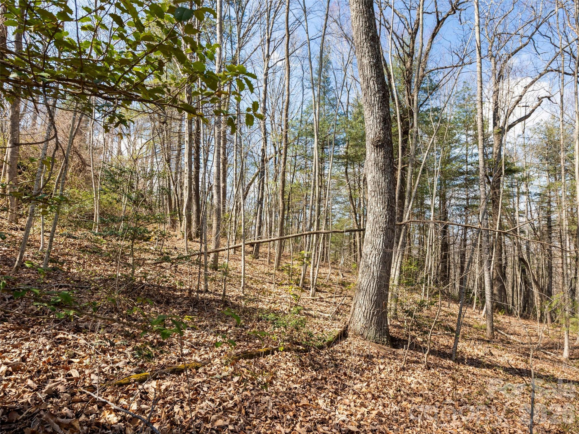 96 Turkey Roost Court - Photo 12