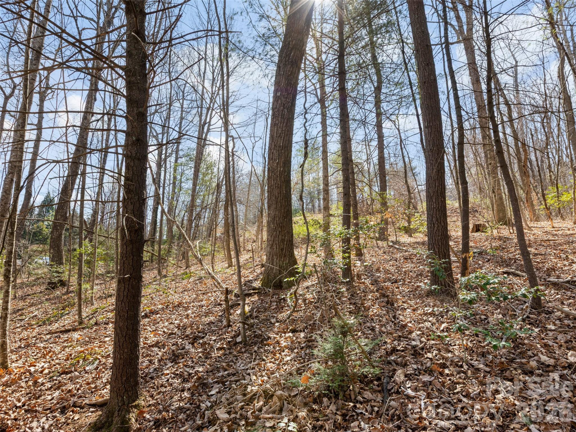 96 Turkey Roost Court - Photo 13