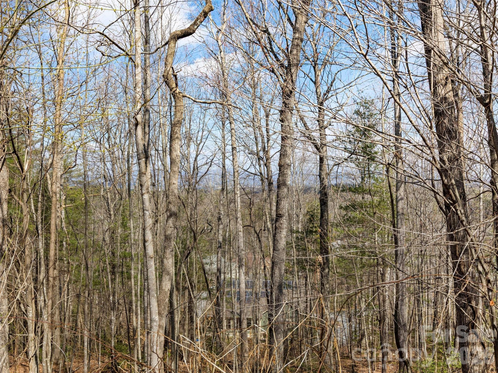 96 Turkey Roost Court - Photo 10