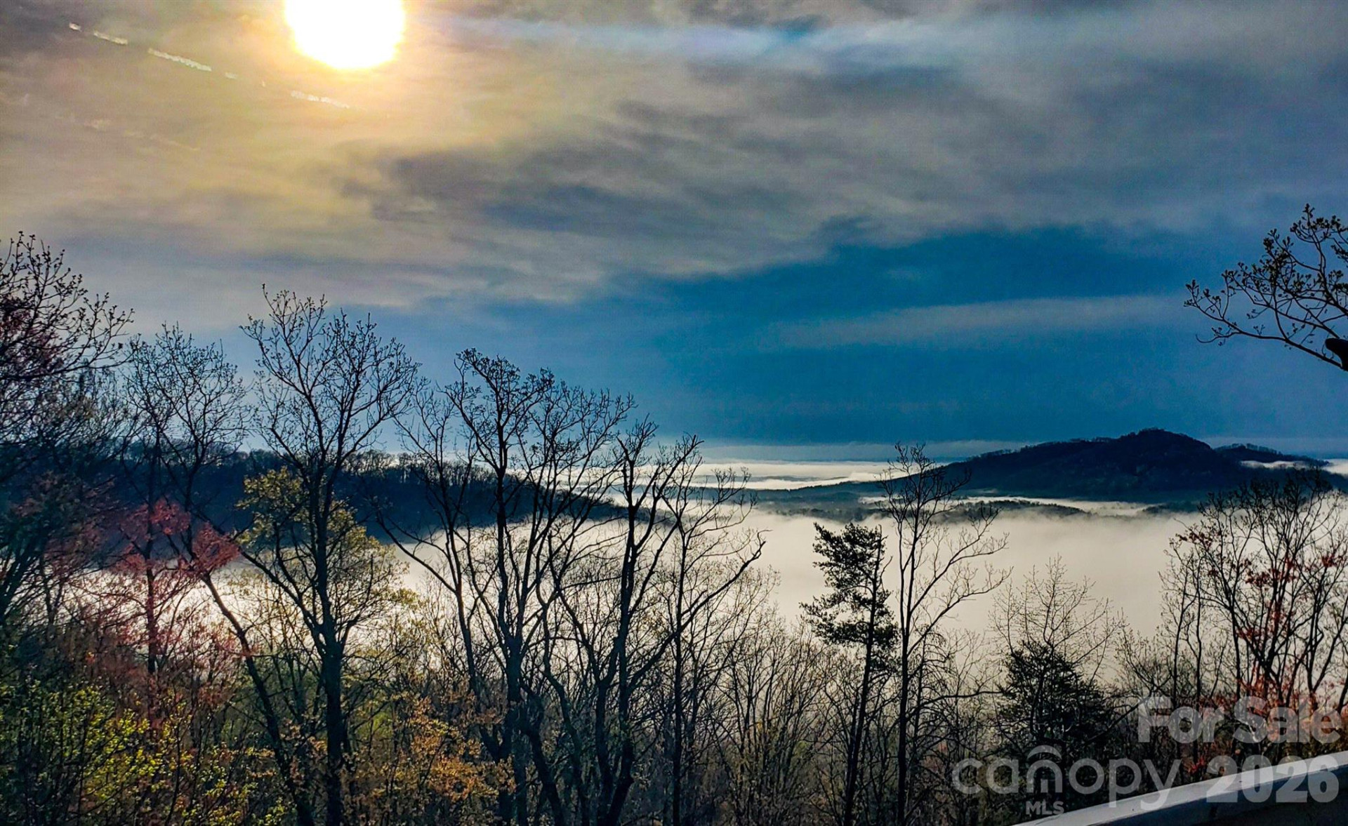 110 Chetan Way - Photo 48