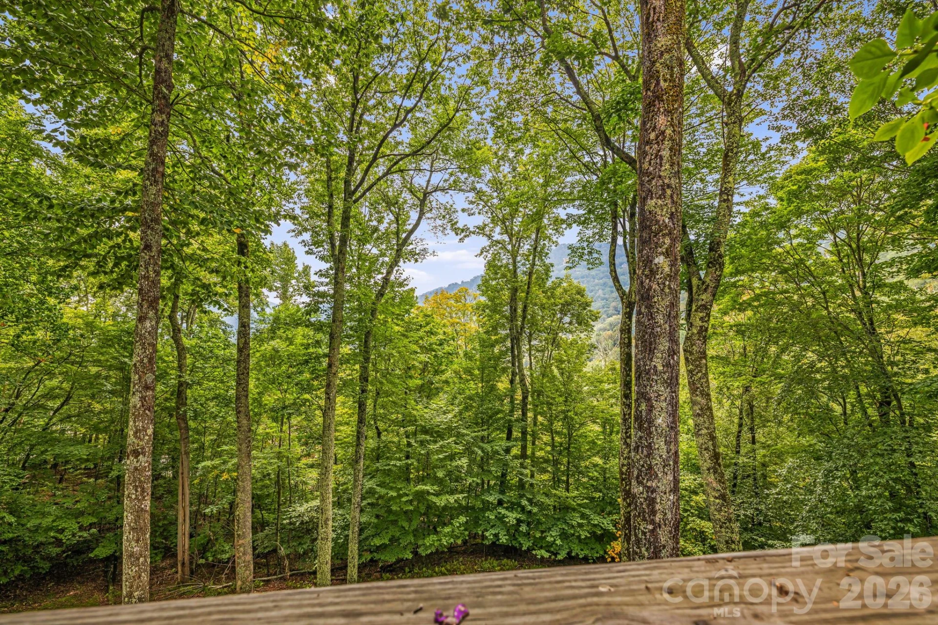 215 Goldenleaf Road - Photo 37