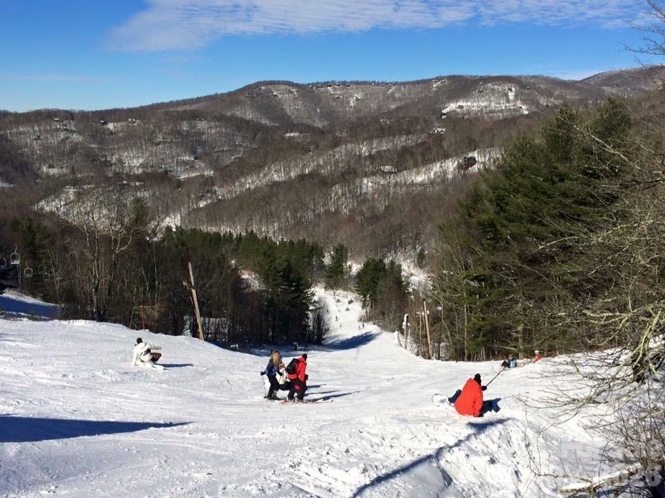 215 Goldenleaf Road - Photo 47