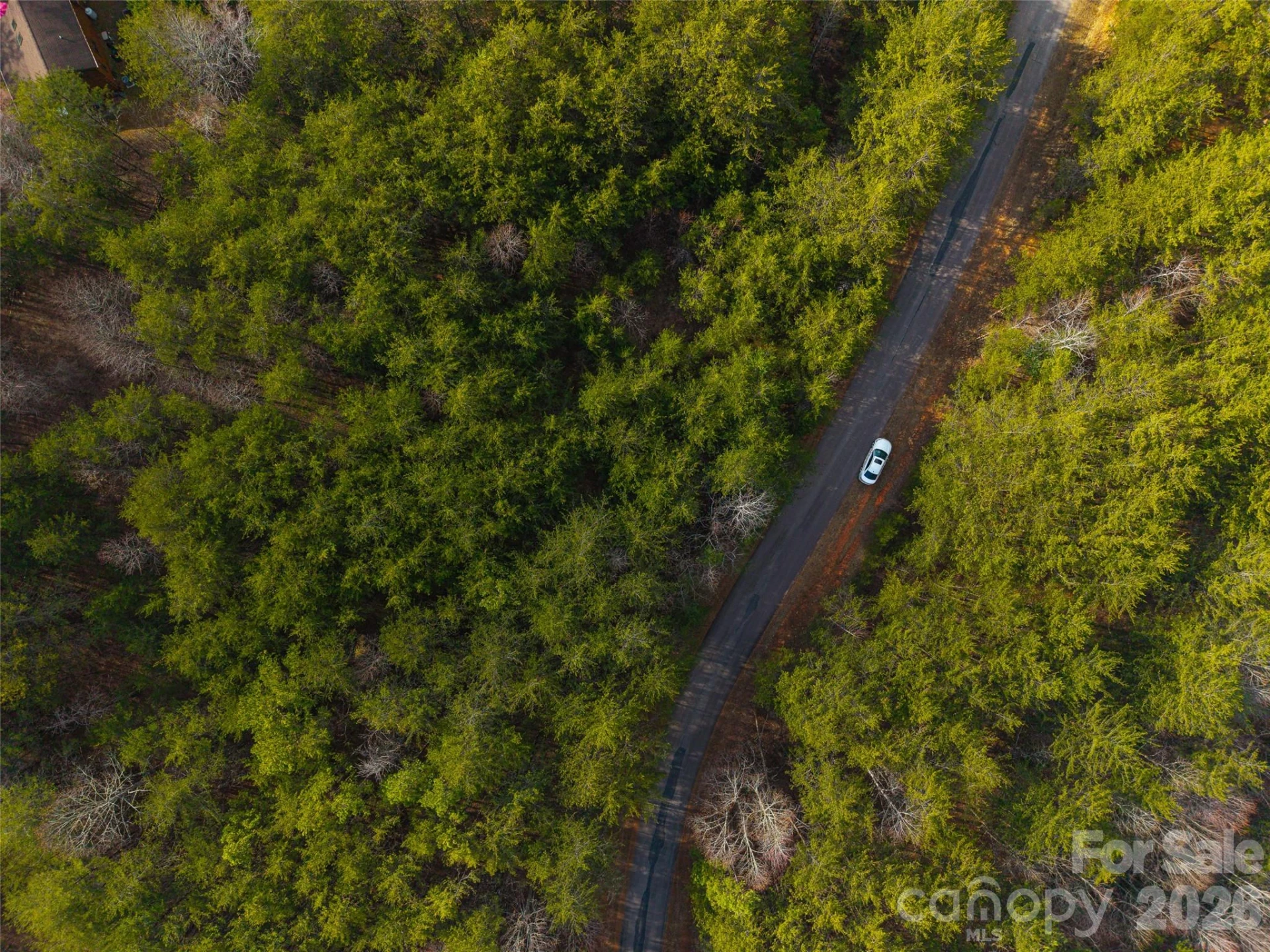 0 Sweetbriar Road - Photo 3