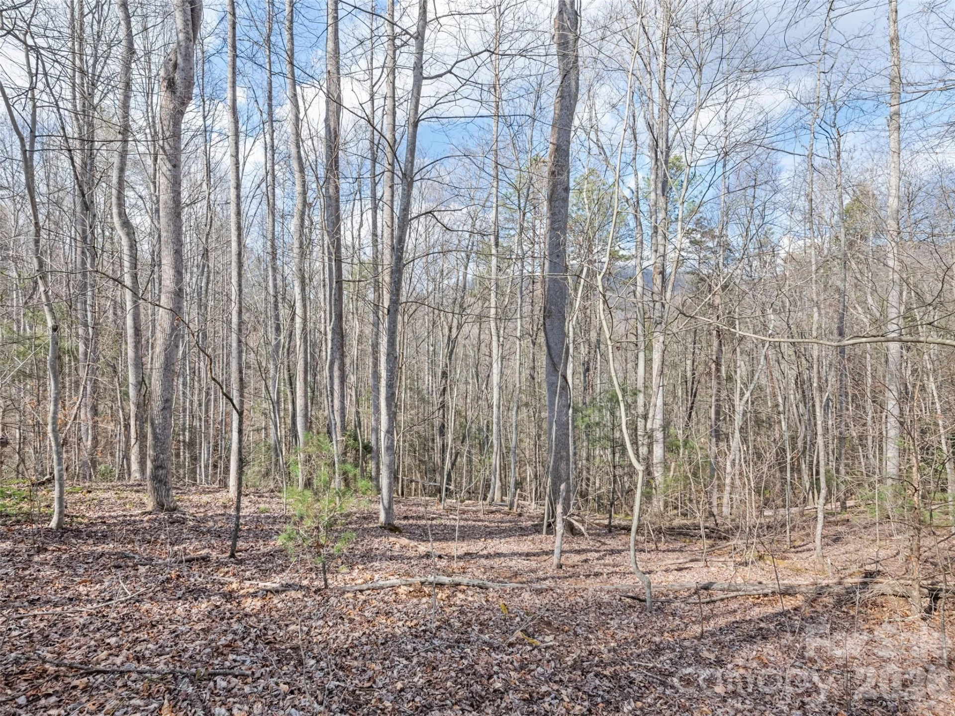 00 Harleys Cove #lots 20 & 21 - Photo 11