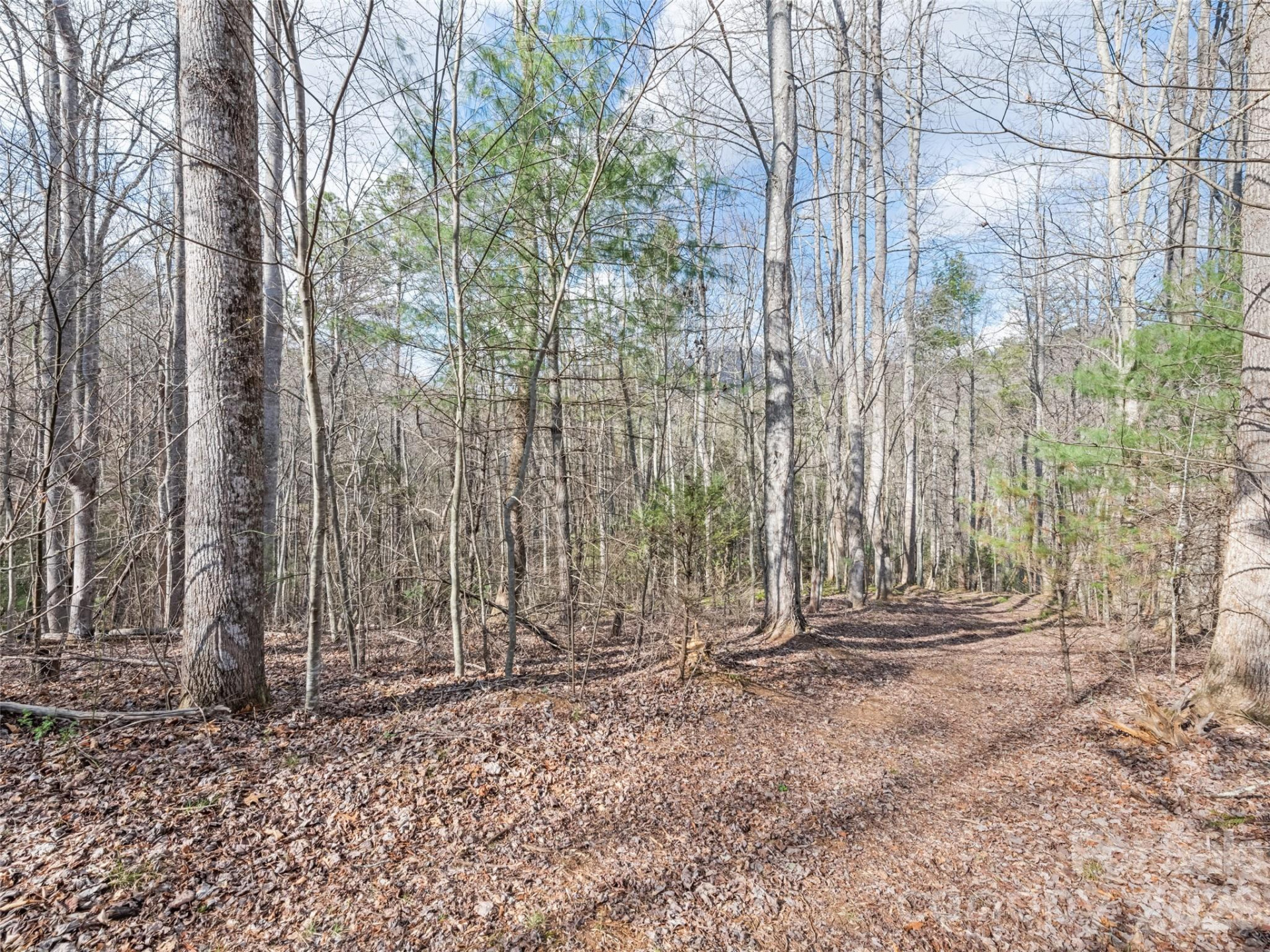 00 Harleys Cove #lot 21 - Photo 13