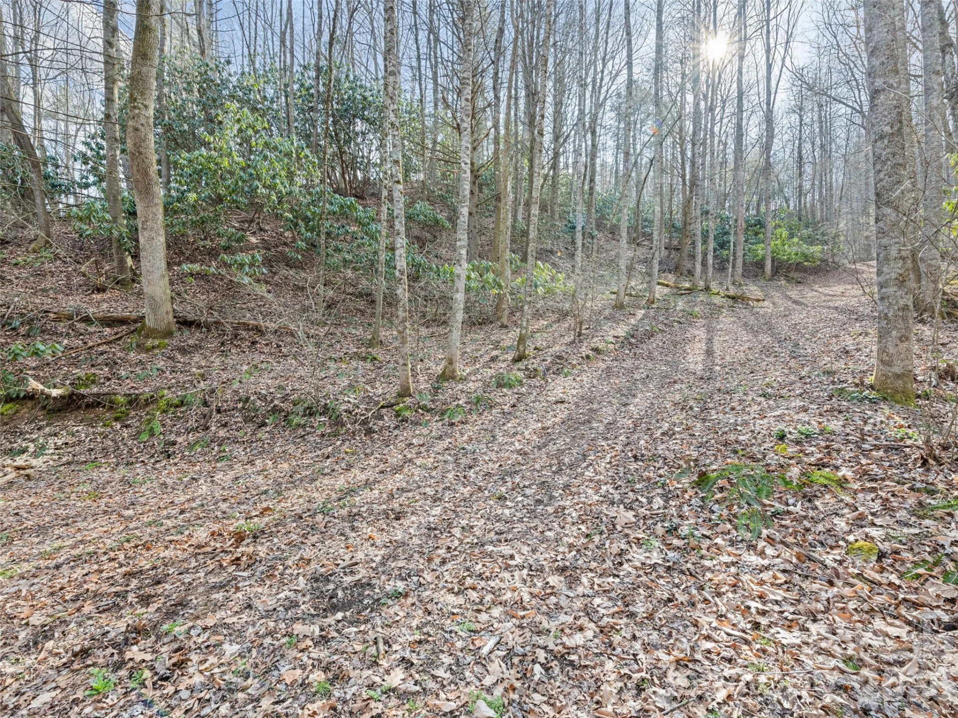 00 Harleys Cove #lots 20 & 21 - Photo 14