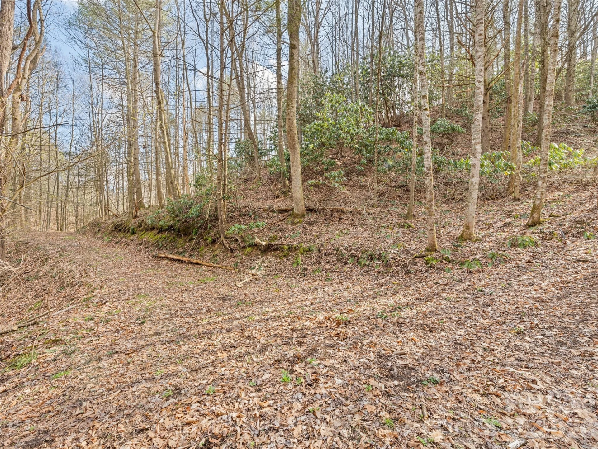 00 Harleys Cove #lots 20 & 21 - Photo 15