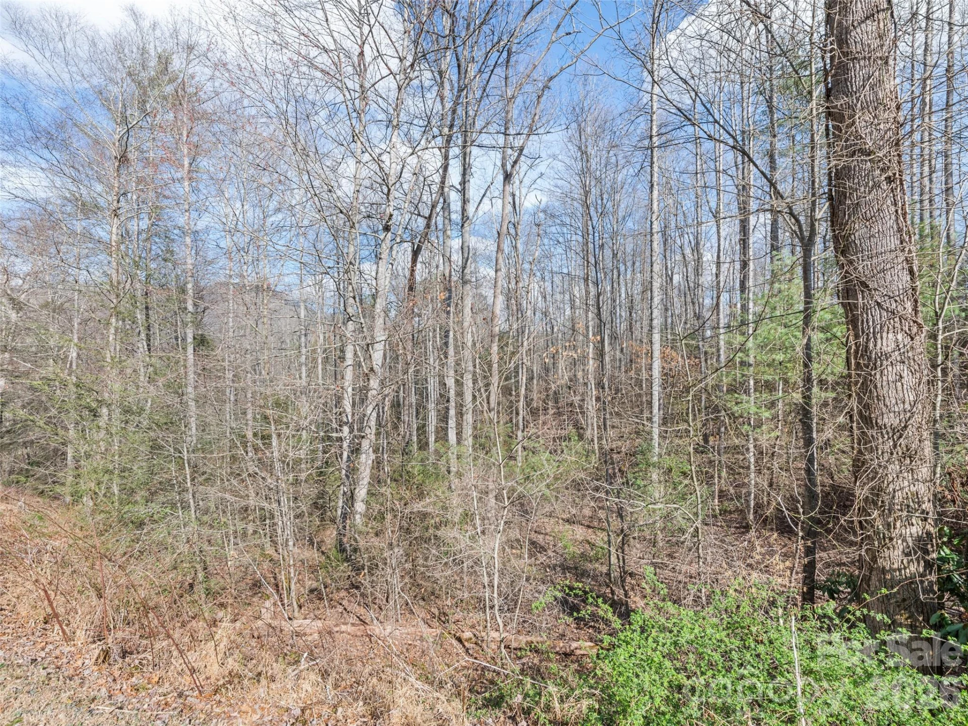 00 Harleys Cove #lots 20 & 21 - Photo 8