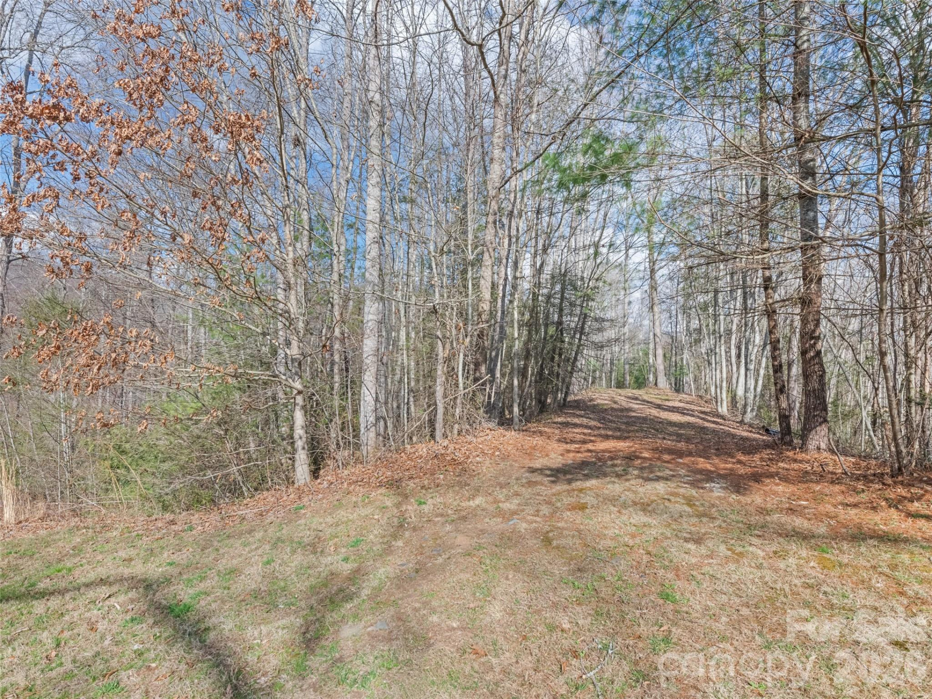 00 Harleys Cove #lot 21 - Photo 9